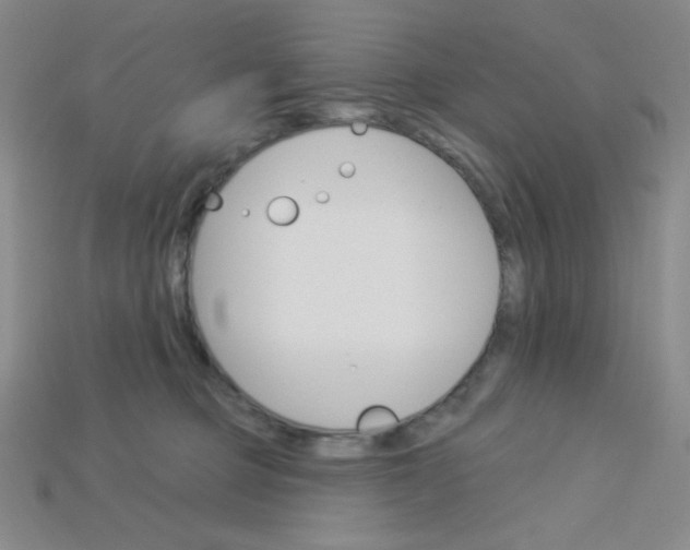 X0000115220373200911121929