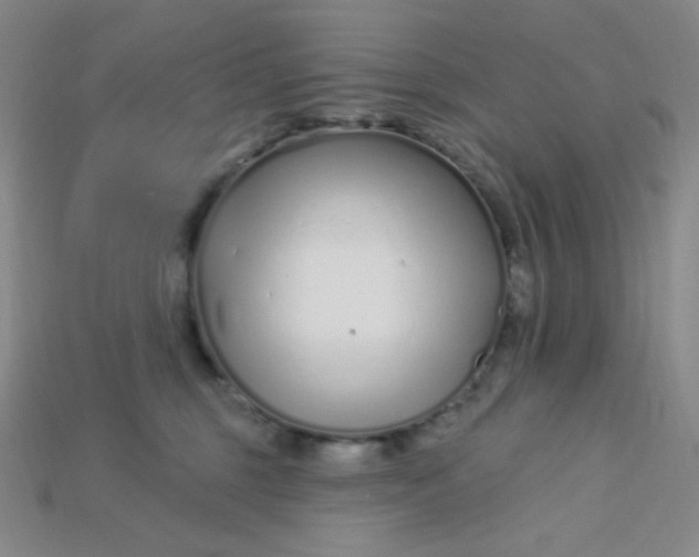 X0000115220375200911121929