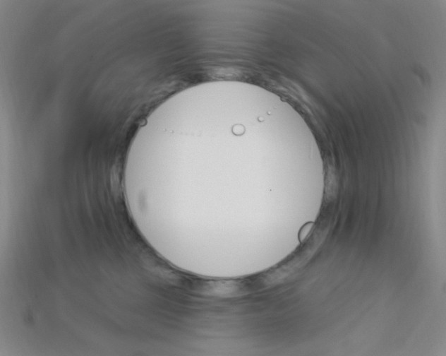 X0000115220377200911121929