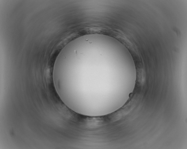 X0000115220378200911121929