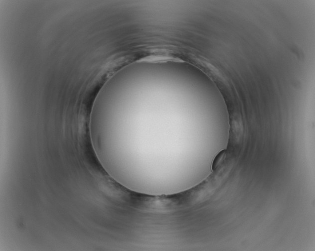 X0000115220379200911121929