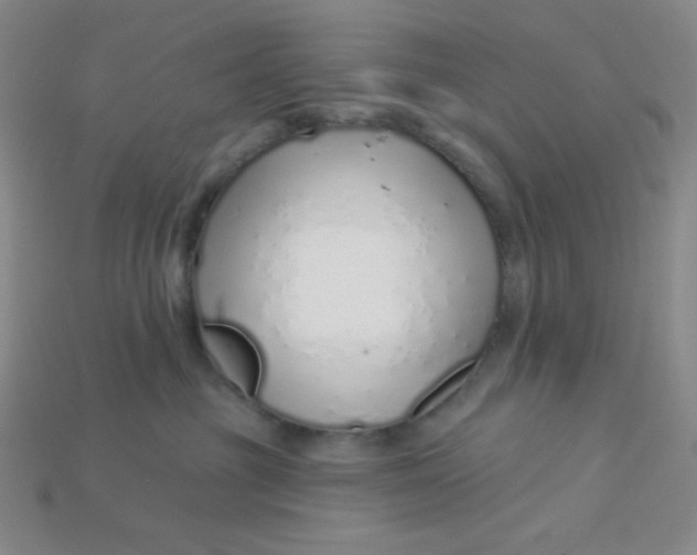 X0000115220381200911121929
