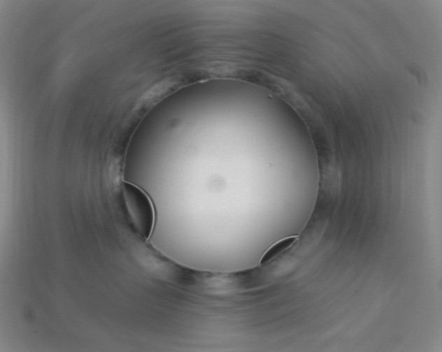 X0000115220383200911121929