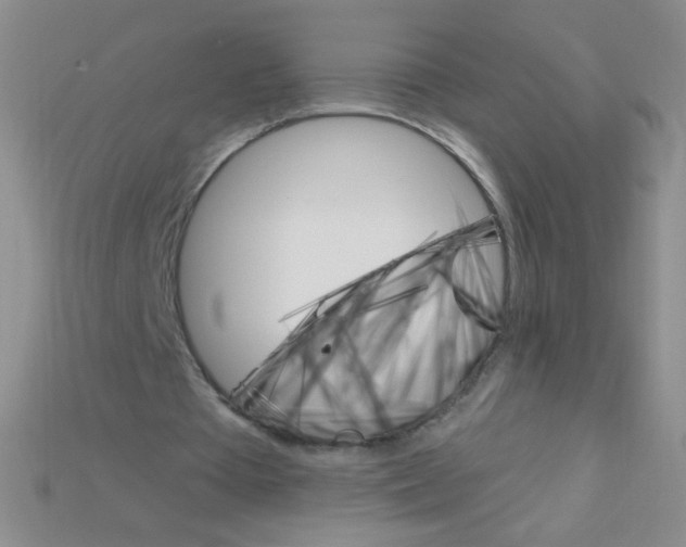X0000115220385200911121929