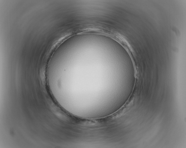 X0000115220386200911121929