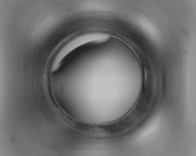 X0000115220387200911121929