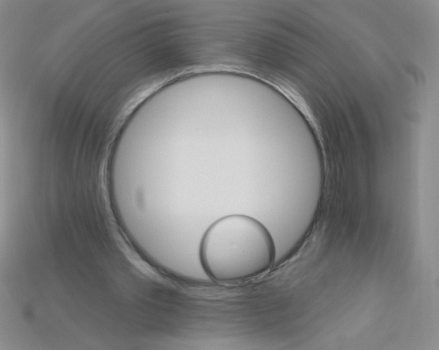 X0000115220389200911121929