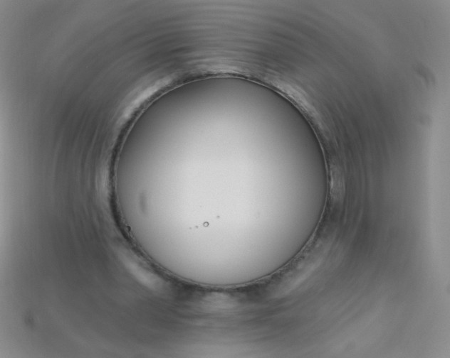 X0000115220390200911121929