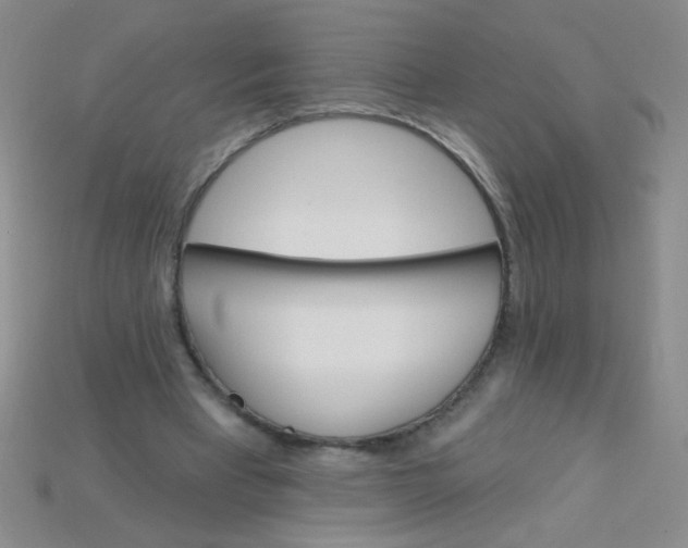 X0000115220393200911121929