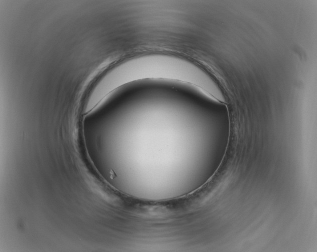 X0000115220395200911121929