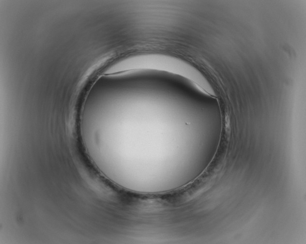 X0000115220396200911121929