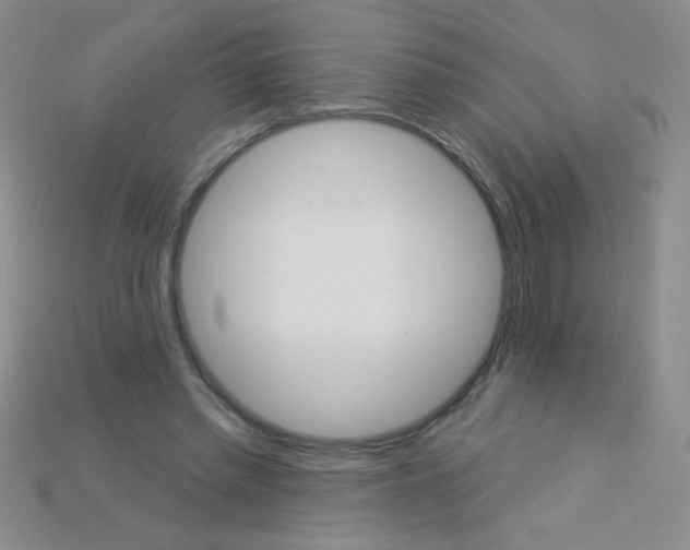 X0000115220397200911121929