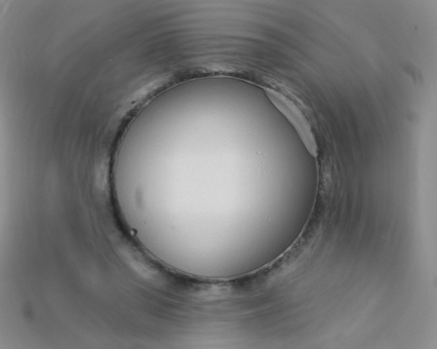 X0000115220398200911121929