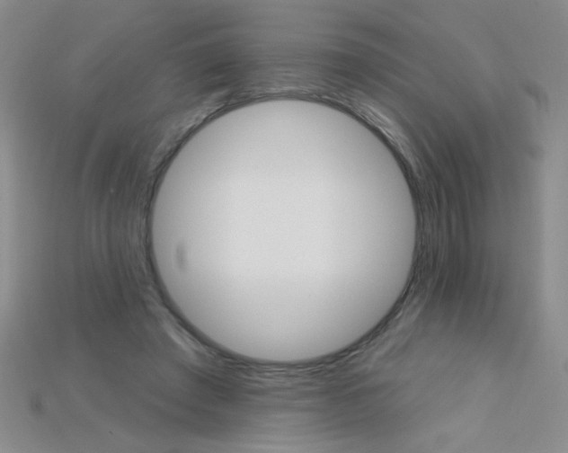 X0000115220401200911121929