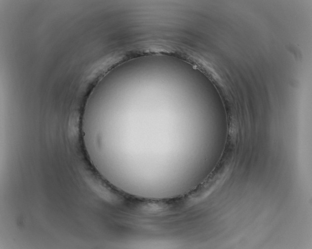 X0000115220402200911121929