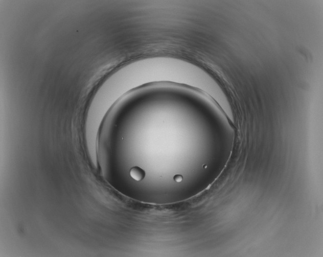X0000115220403200911121929