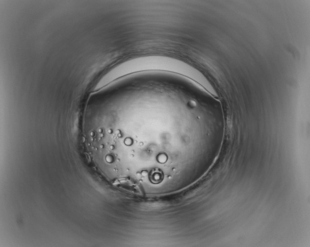 X0000115220404200911121929