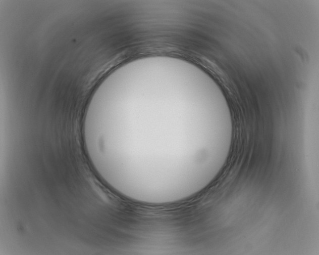 X0000115220405200911121929
