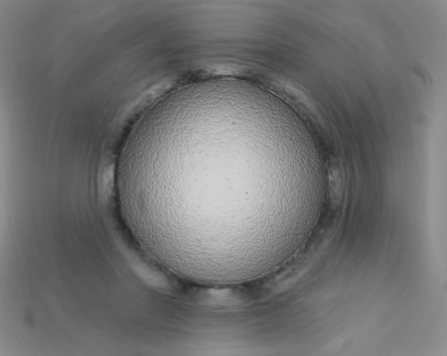 X0000115220406200911121929