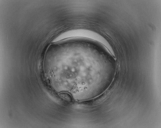 X0000115220408200911121929