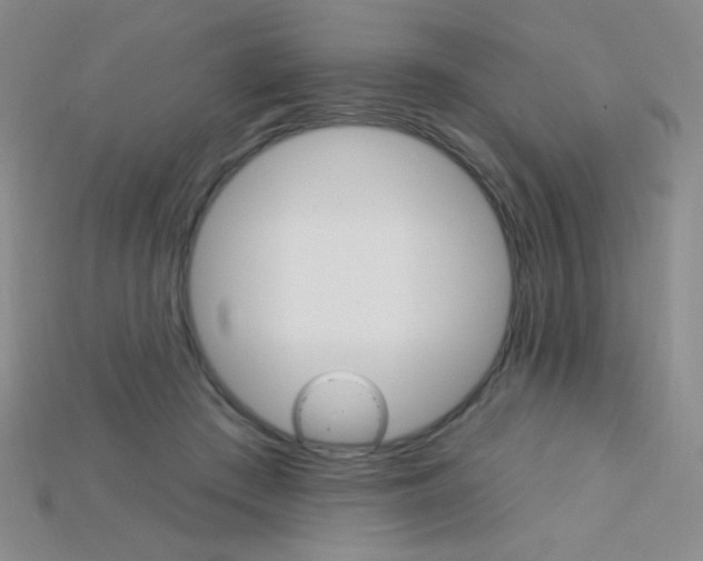 X0000115220409200911121929