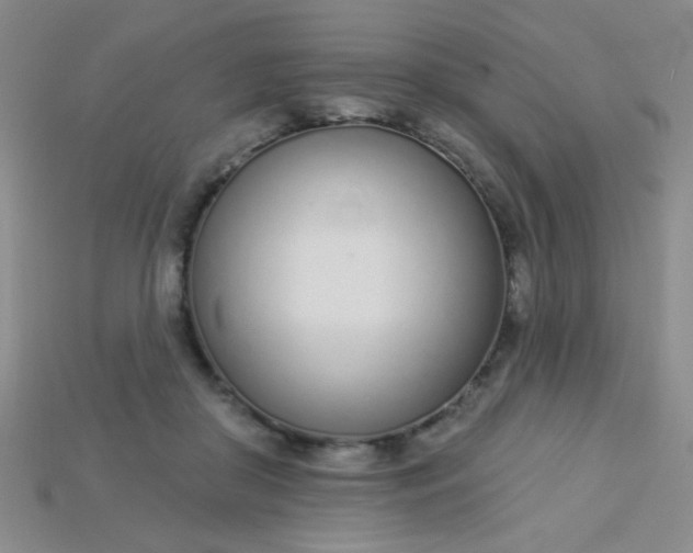 X0000115220410200911121929