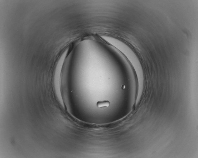 X0000115220411200911121929