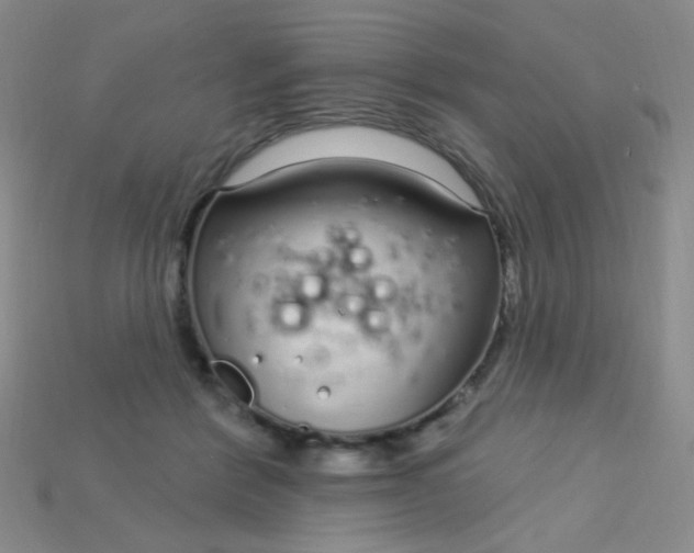 X0000115220412200911121929