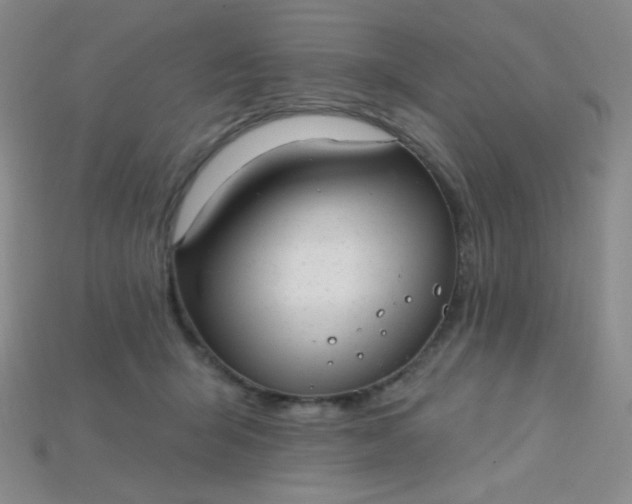 X0000115220415200911121928