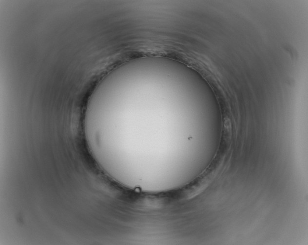 X0000115220416200911121928