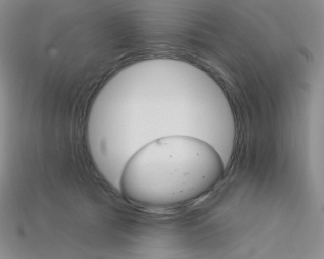 X0000115220417200911121928
