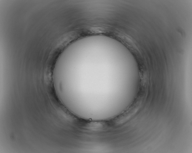 X0000115220418200911121928