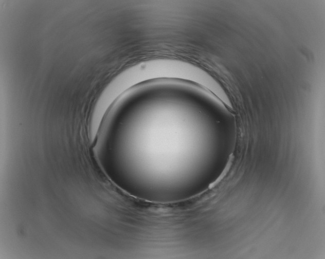 X0000115220419200911121928