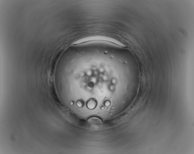 X0000115220420200911121928