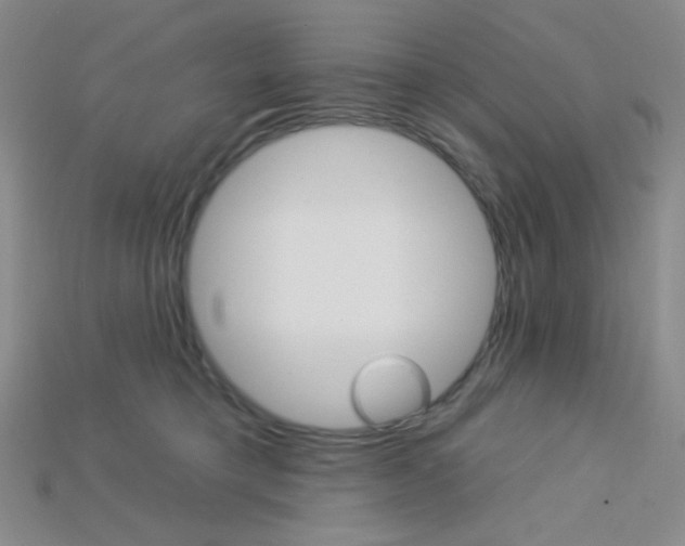 X0000115220421200911121928