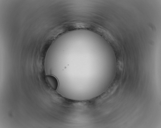 X0000115220422200911121928