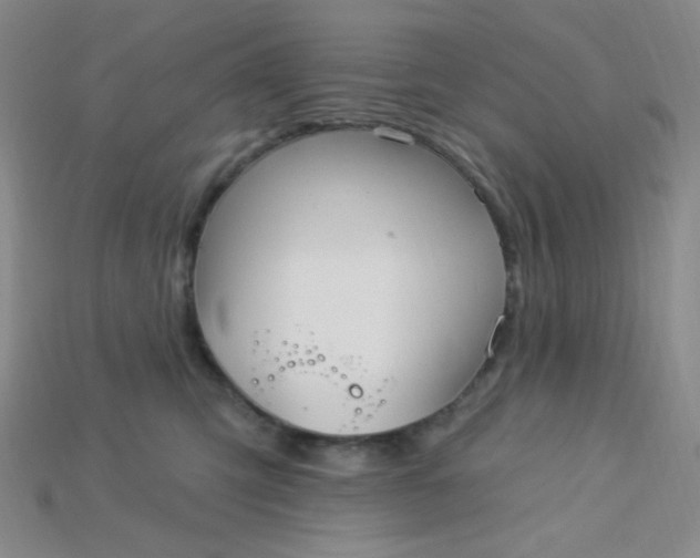 X0000115220423200911121928