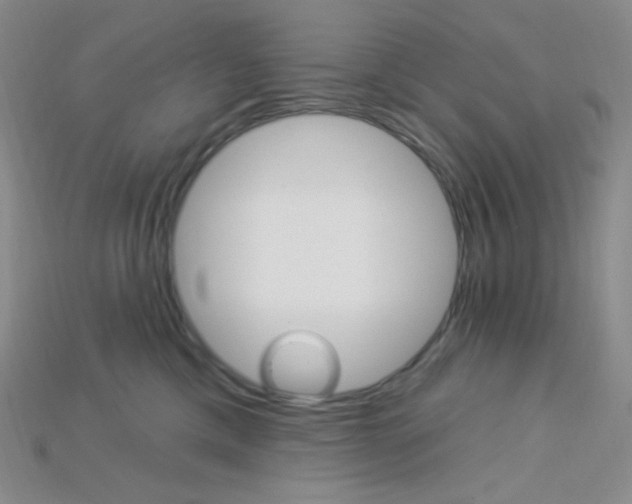 X0000115220425200911121928