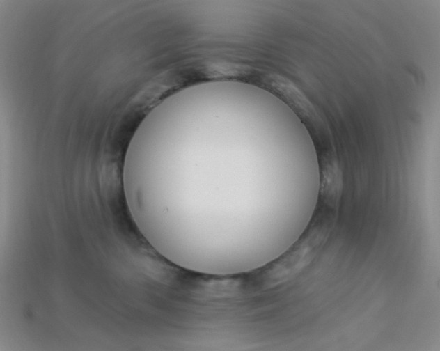 X0000115220426200911121928