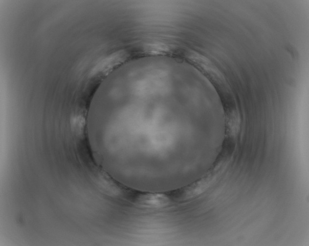 X0000115220427200911121928