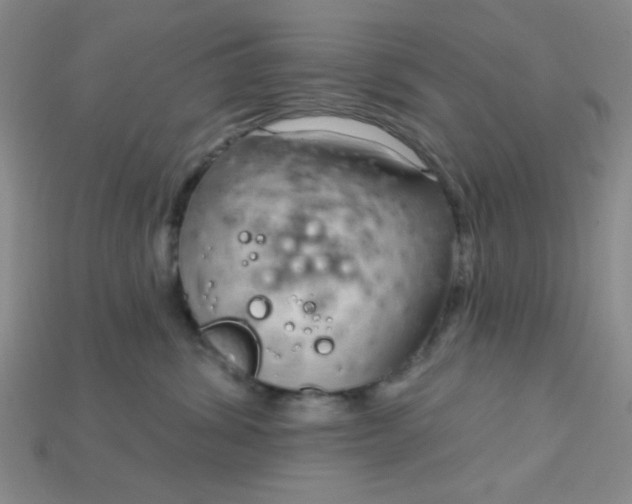 X0000115220428200911121928