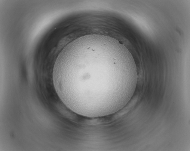 X0000115220430200911121928