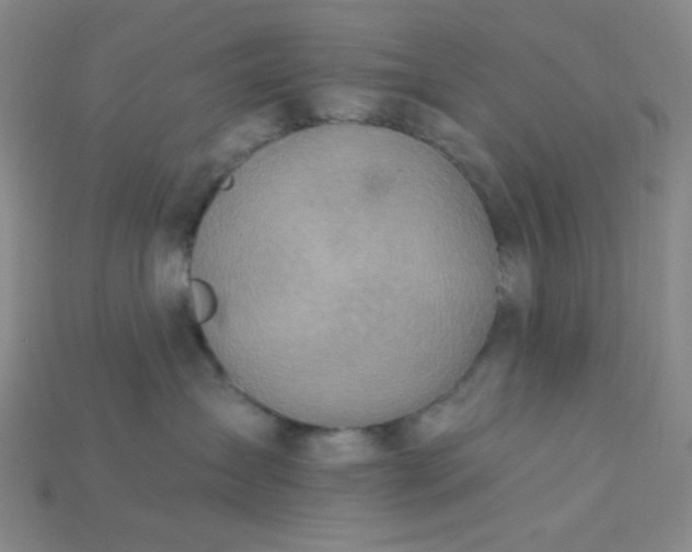 X0000115220431200911121928