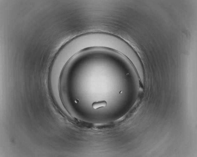 X0000115220434200911121928