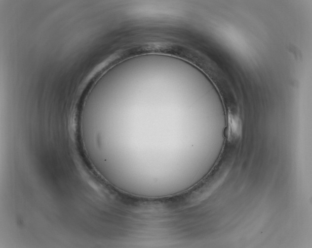 X0000115220435200911121928