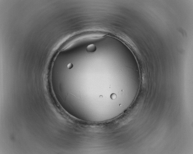 X0000115220436200911121928