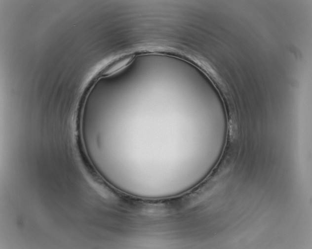 X0000115220438200911121928