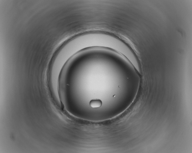 X0000115220439200911121928