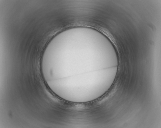 X0000115220441200911121928