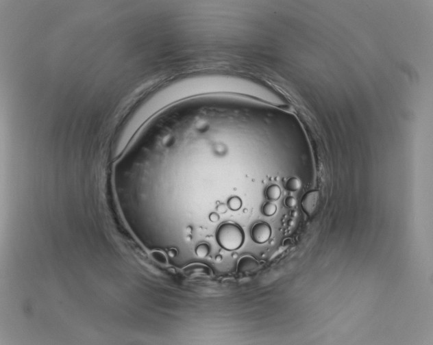 X0000115220442200911121928